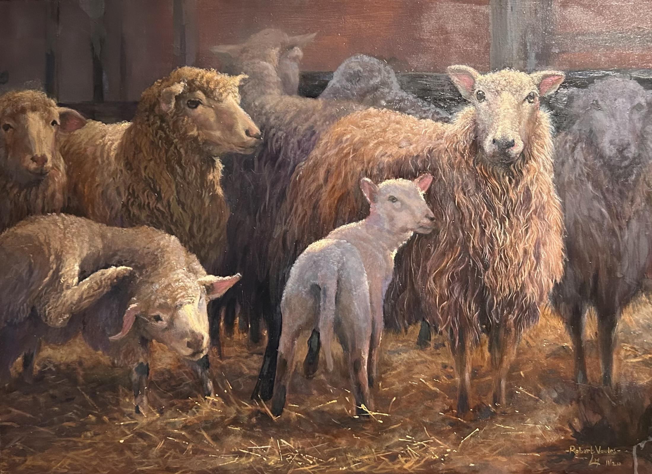Sheep - The Matriarch